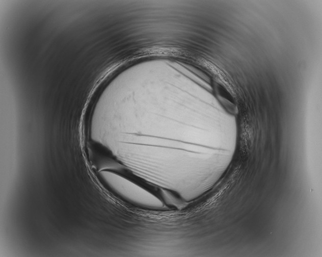 X0000095941082200802081232