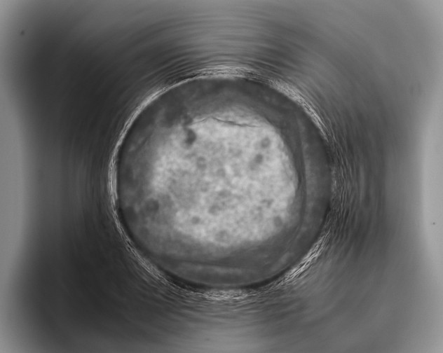 X0000095941083200802081232