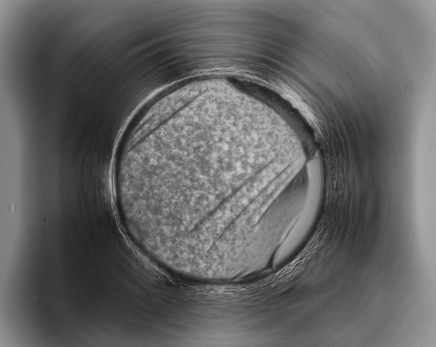 X0000095941084200802081232