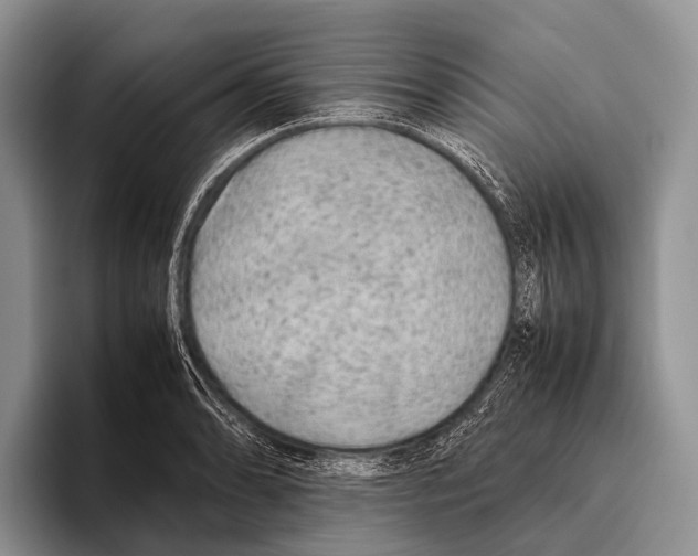 X0000095941086200802081232