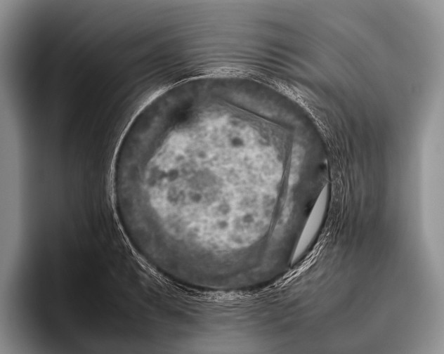 X0000095941087200802081232