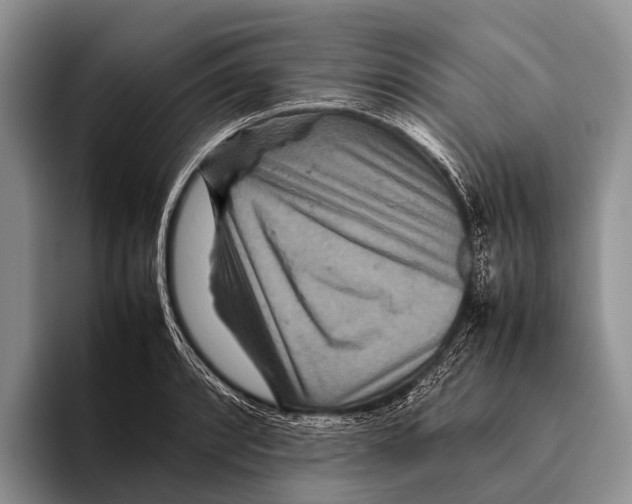 X0000095941088200802081232