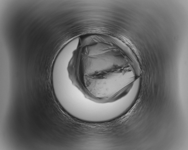 X0000095941089200802081232