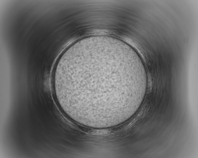 X0000095941090200802081232