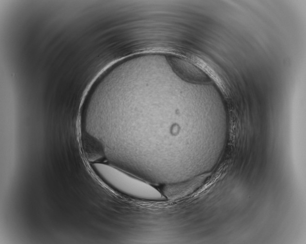 X0000095941092200802081232