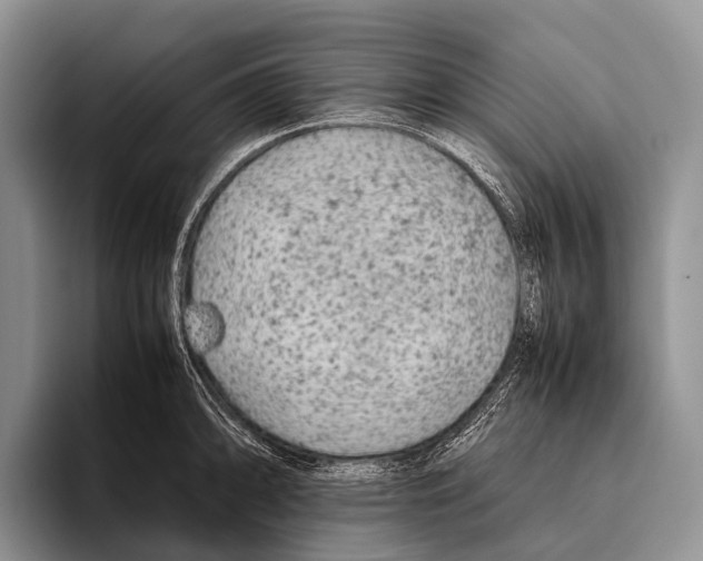 X0000095941094200802081232