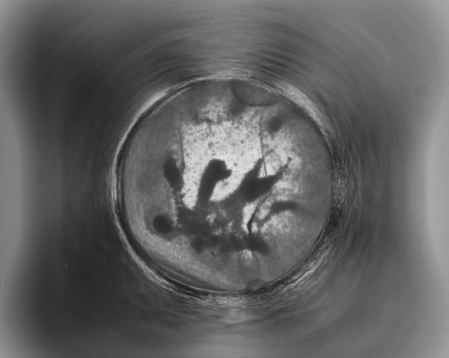 X0000095941095200802081232