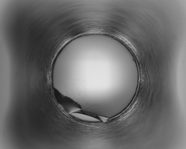 X0000095941097200802081232