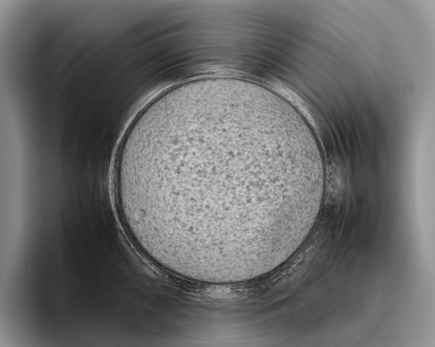 X0000095941098200802081232