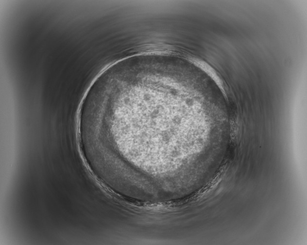 X0000095941099200802081232