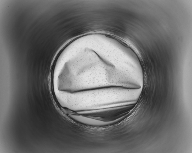 X0000095941100200802081232