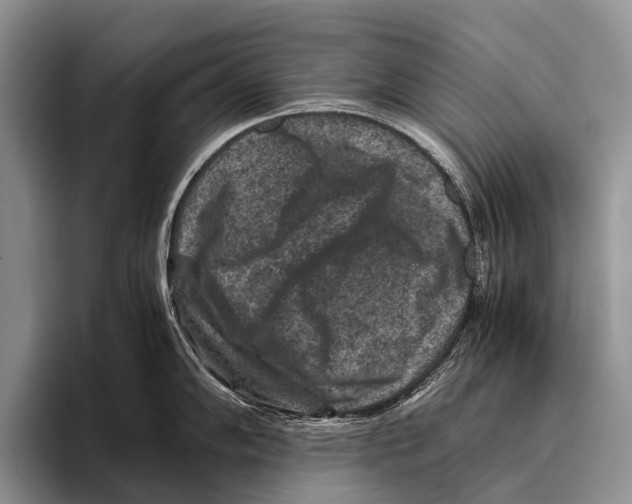 X0000095941102200802081232