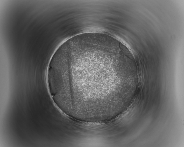 X0000095941103200802081232