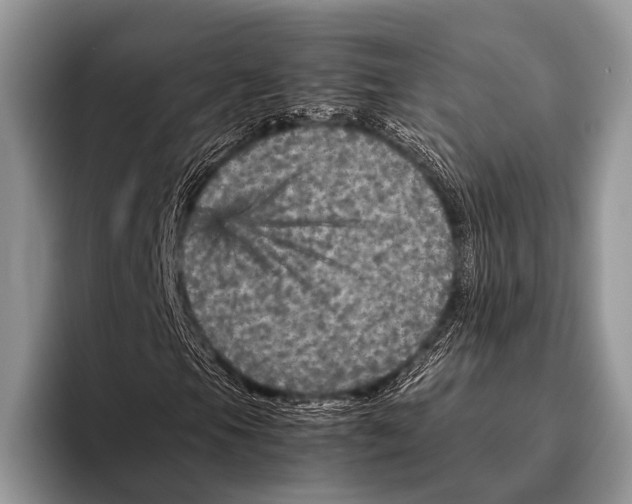 X0000095941105200802081231