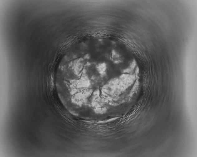 X0000095941106200802081231