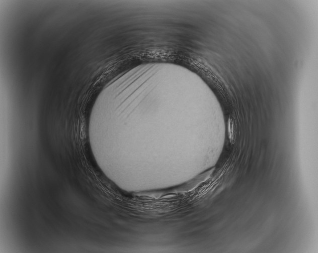 X0000095941107200802081231