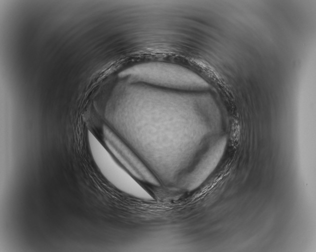 X0000095941110200802081231