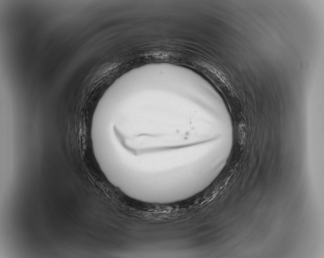 X0000095941111200802081231