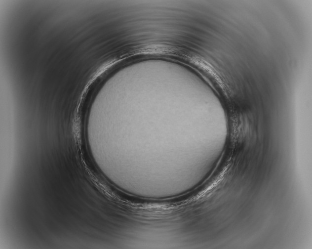 X0000095941114200802081231