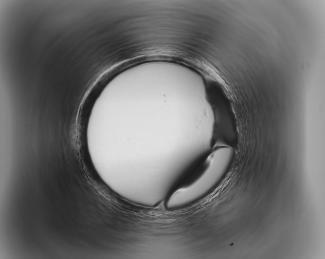 X0000095941116200802081231