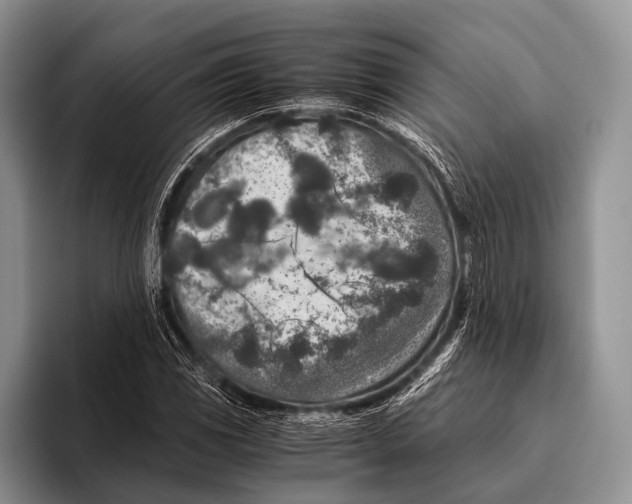 X0000095941117200802081231