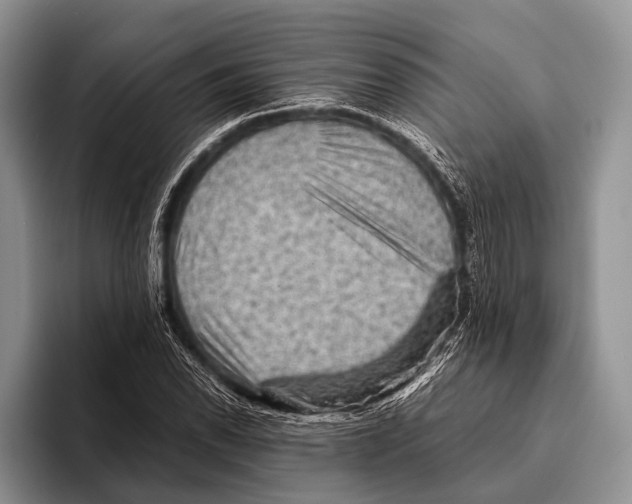 X0000095941118200802081231