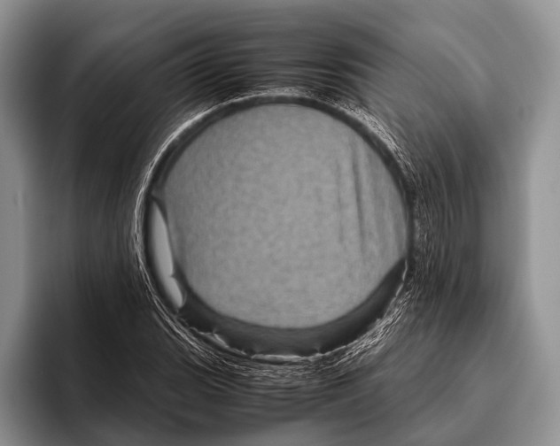 X0000095941119200802081231