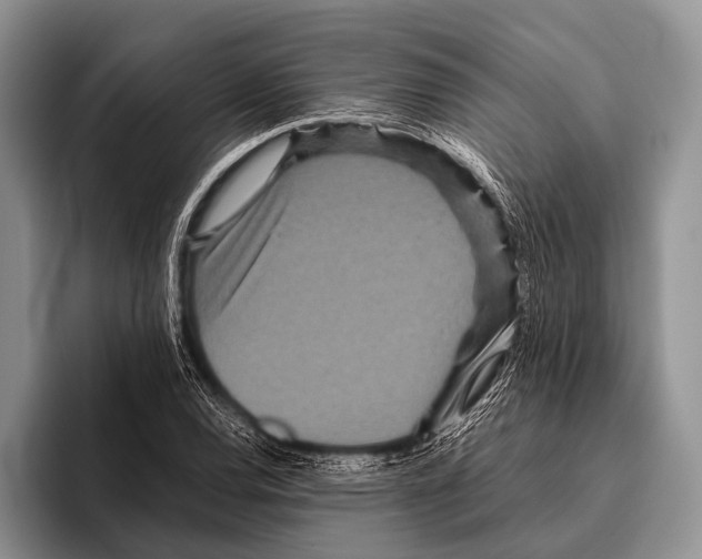 X0000095941120200802081231