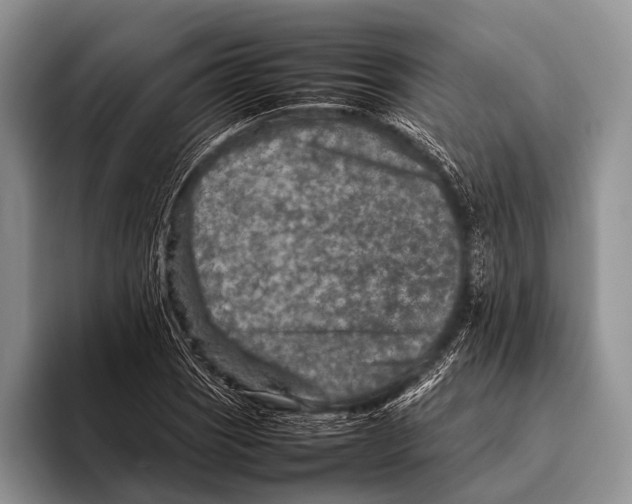 X0000095941121200802081231