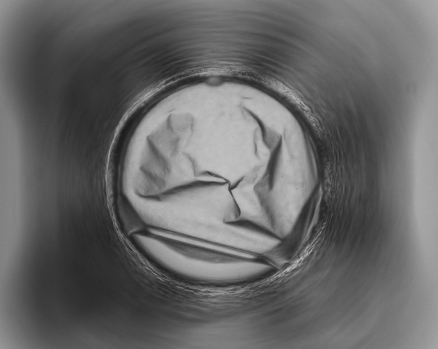 X0000095941122200802081231