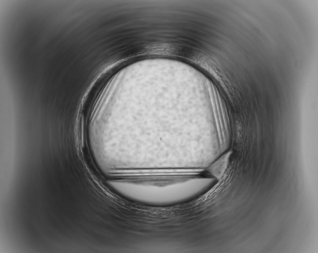 X0000095941123200802081231