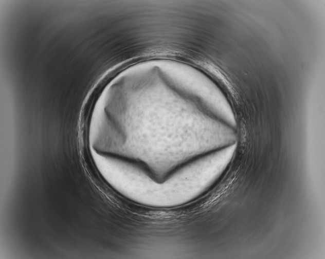 X0000095941124200802081231