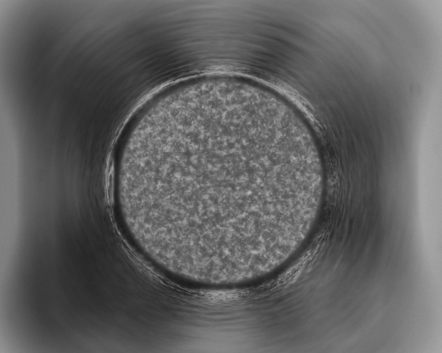 X0000095941126200802081232