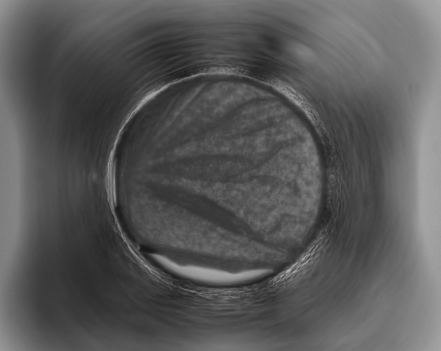 X0000095941127200802081232