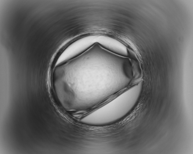 X0000095941128200802081232