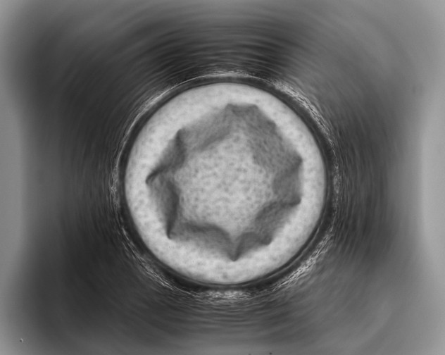 X0000095941129200802081232