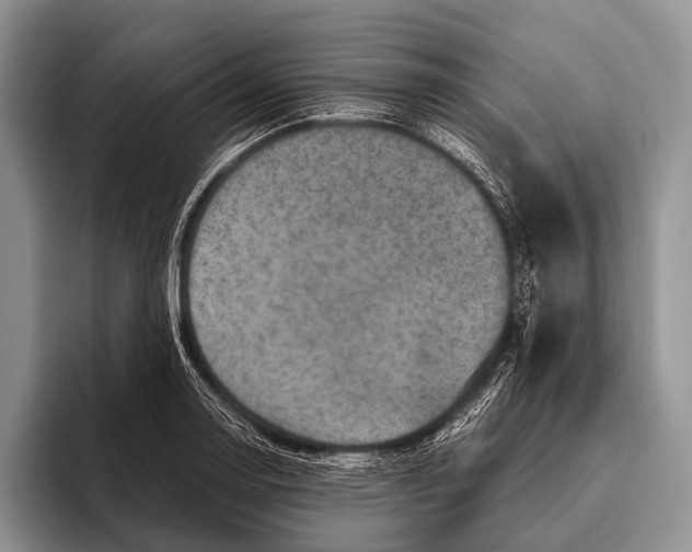 X0000095941130200802081232