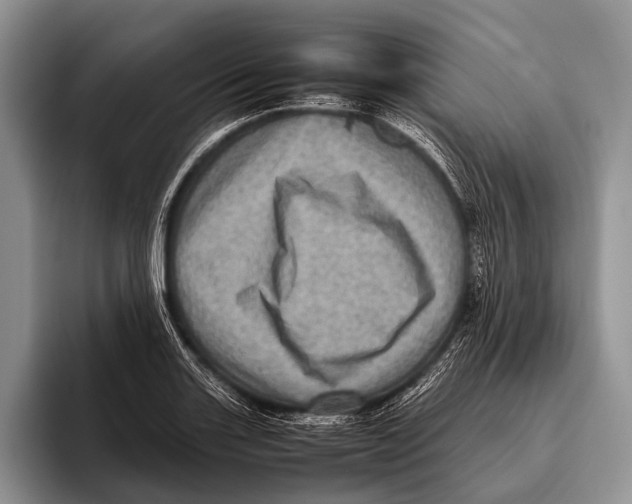 X0000095941131200802081232