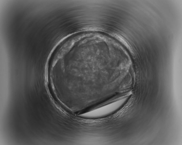 X0000095941132200802081232