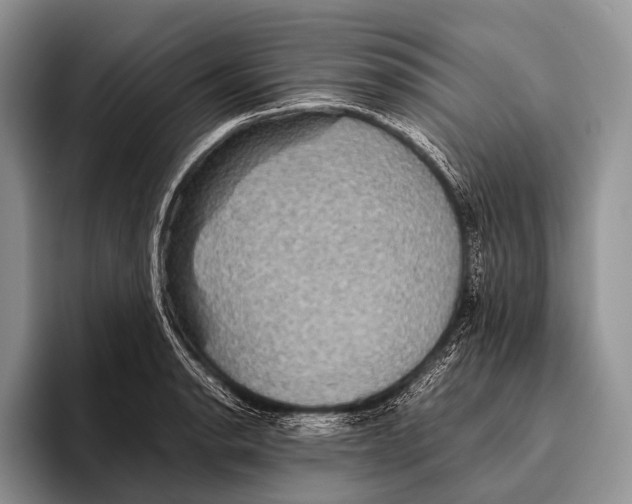 X0000095941134200802081232