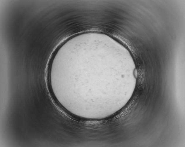 X0000095941135200802081232