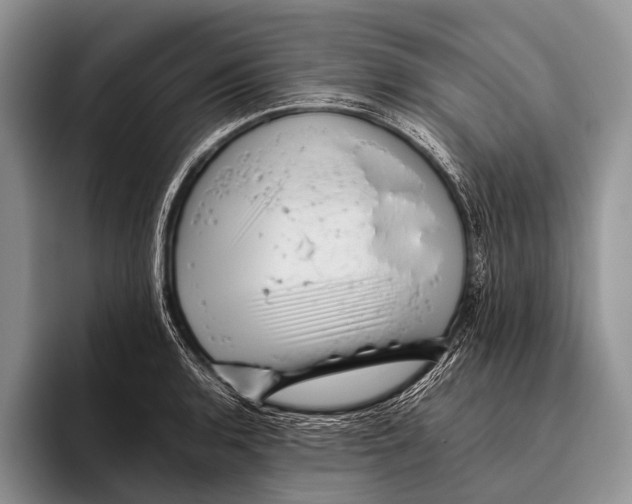 X0000095941136200802081232