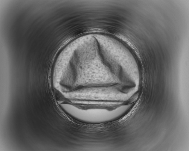 X0000095941137200802081232