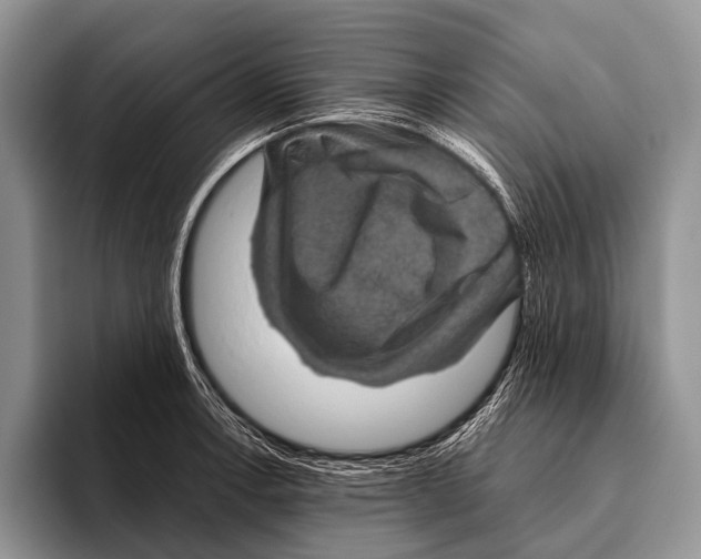 X0000095941138200802081232