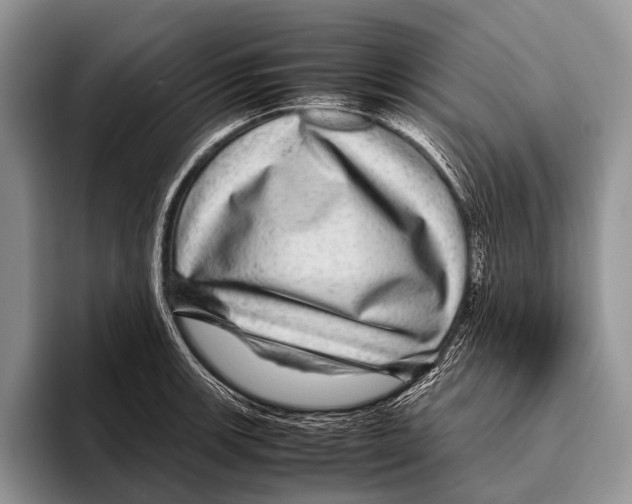 X0000095941139200802081232