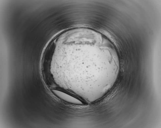 X0000095941140200802081232