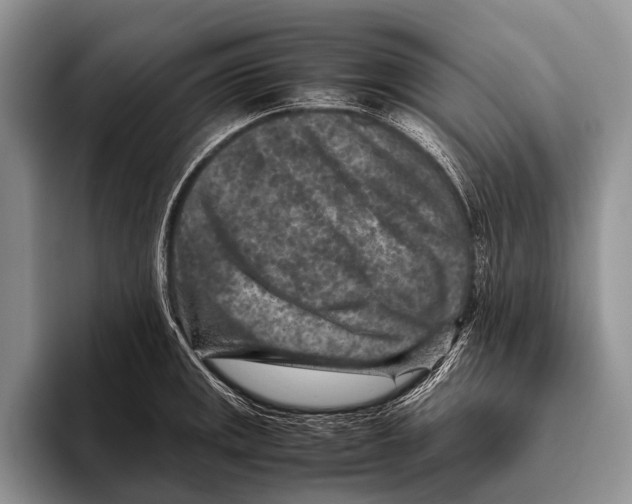 X0000095941141200802081232