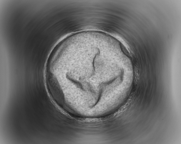 X0000095941142200802081232