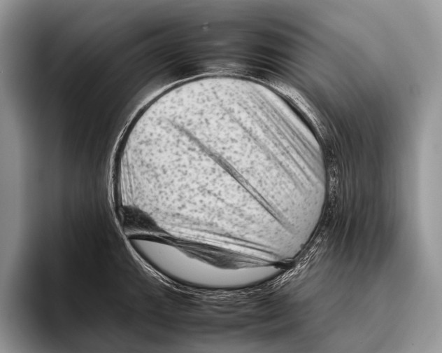 X0000095941143200802081232