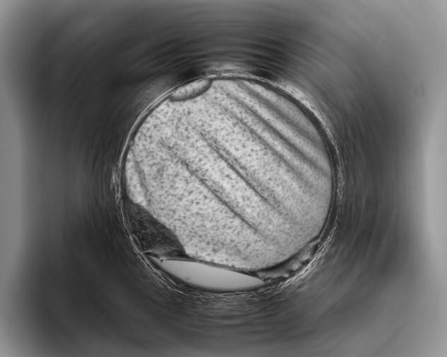 X0000095941145200802081232